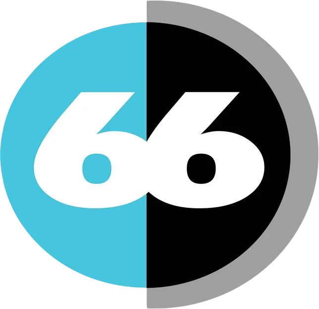 66