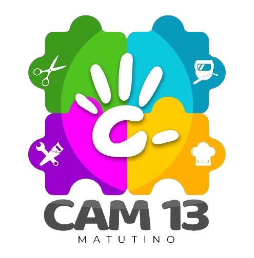 cam13
